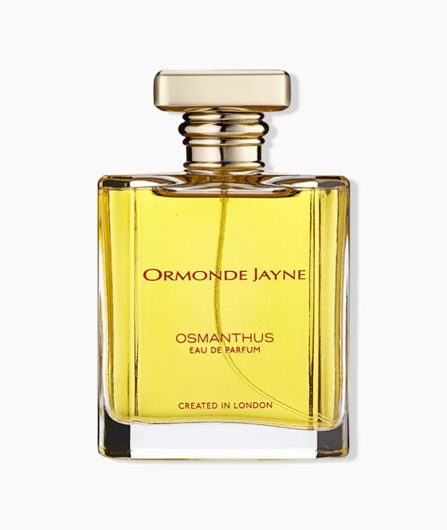 Osmanthus ORMONDE JAYNE Fashion